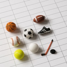 Budget spreadsheet with sports icons