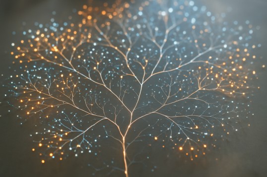 Visualization of machine learning data points and decision paths