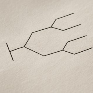 Illustration of a probability tree for sporting outcomes