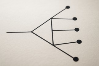 Diagram showing random variables branching into different possible outcomes